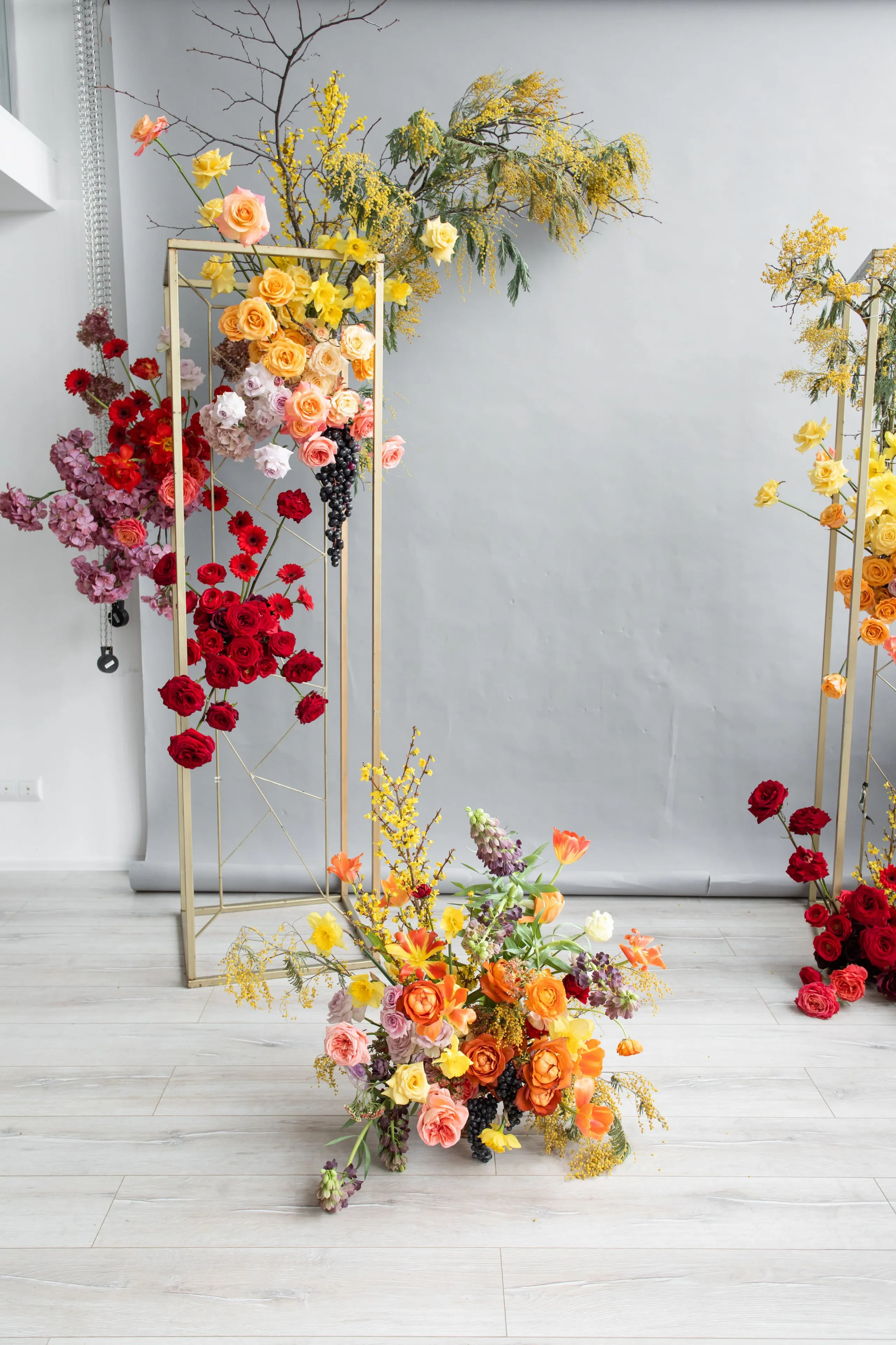 Gold metal arch frames wrapped in a gradient of flowers, from deep red garden roses and gerbera daisies at left to peach and yellow roses at right, with purple hydrangea and dark grapes trailing down. A low floral arrangement of orange tulips, yellow daffodils and mimosa sits on the pale wooden floor in front, set against a plain grey backdrop. This is a wedding florist's installation in Russia, styled for a medieval-inspired dinner.