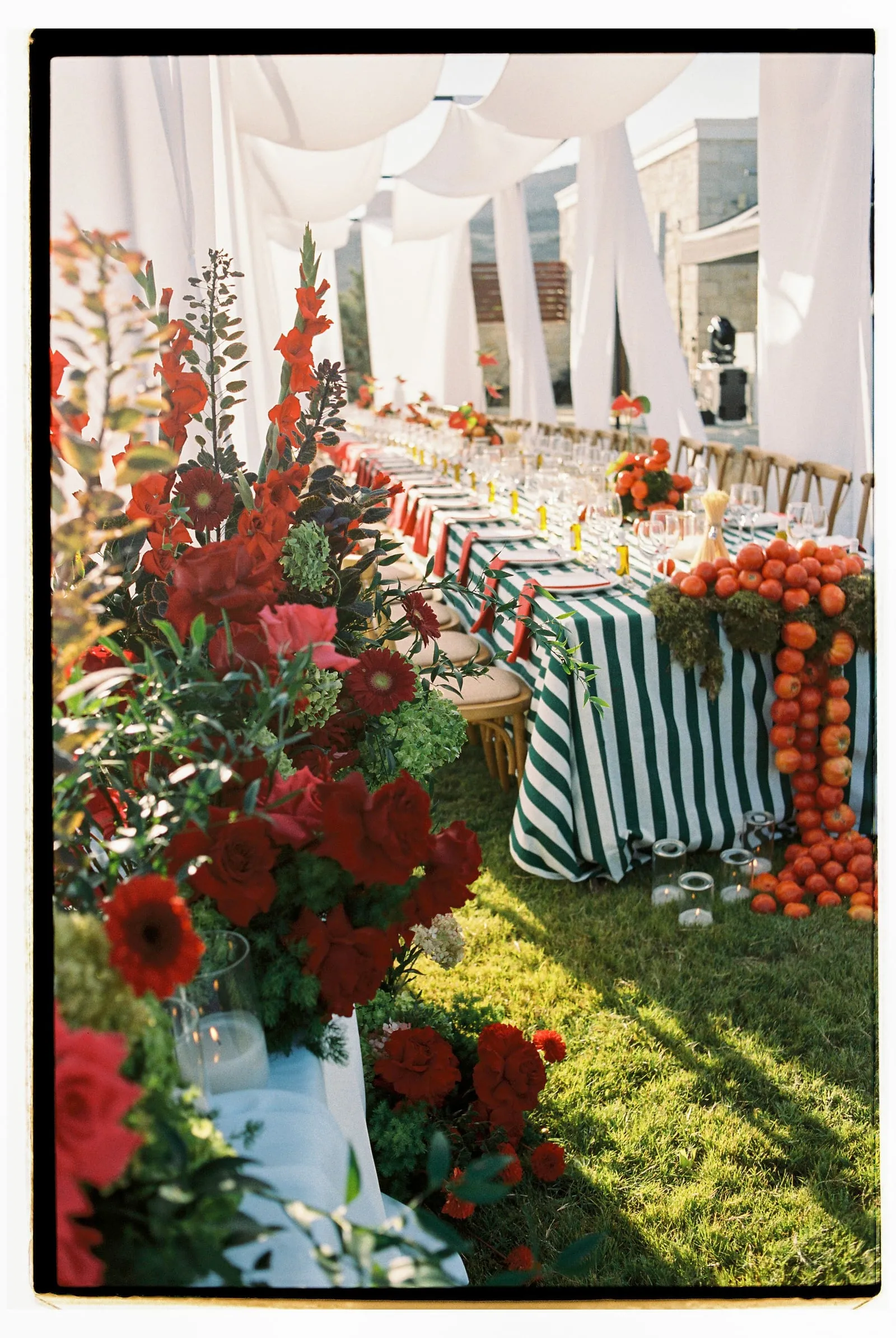A long outdoor wedding table under billowing white canopy drapes on a sunlit lawn at Wine Dark Sea Villas in Rodia, Crete, Greece. Dense arrangements of red gerbera daisies, deep red roses, red gladioli and green hydrangea spill along the left, while the green-and-white striped tablecloth is lined with a glowing column of ripe orange tomatoes and trailing moss. Golden-yellow chairs and lit glass votives complete the warm, festive scene.