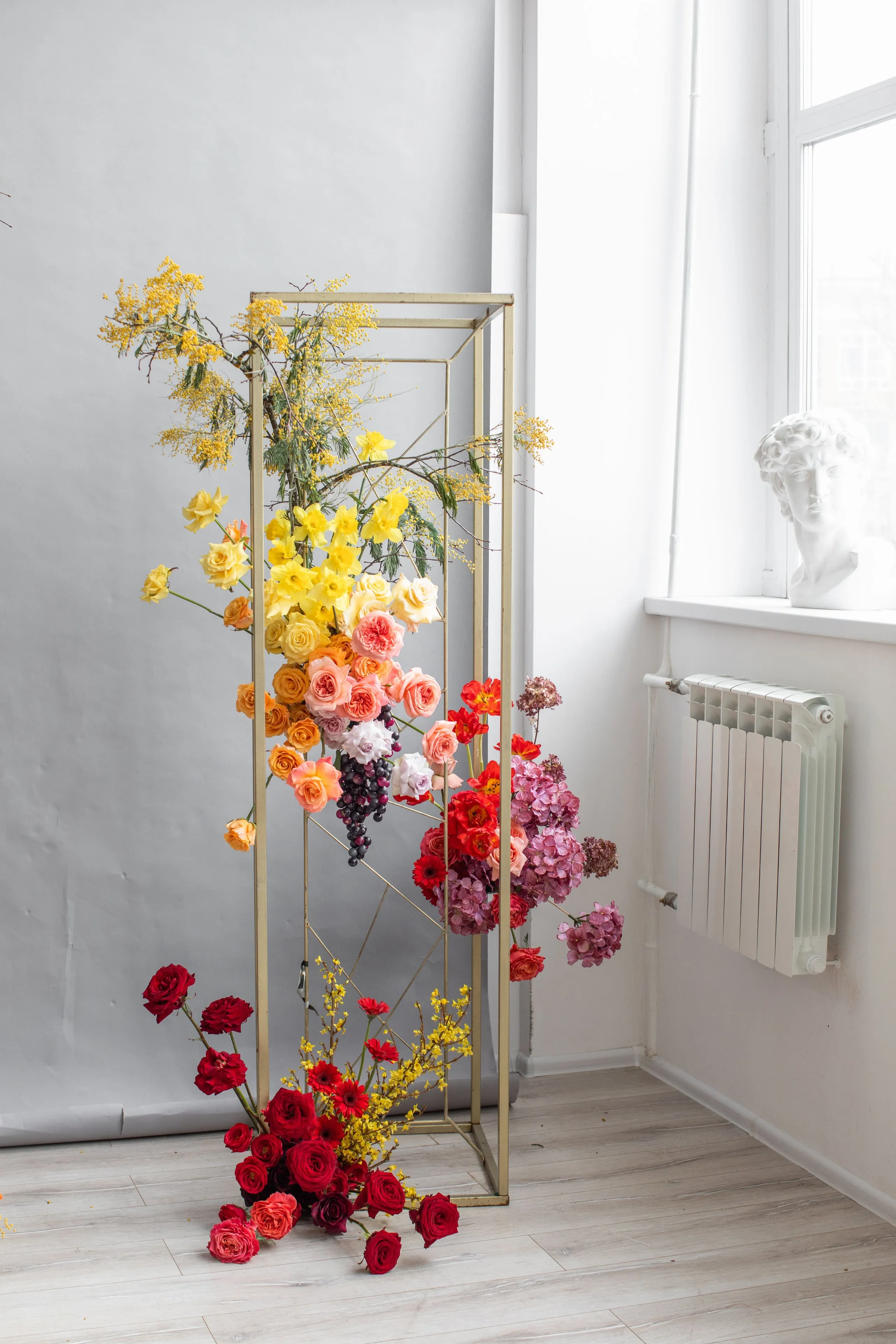 A tall gold metal frame in a bright studio-like room, wrapped top to bottom in a flowing gradient of blooms: yellow daffodils and mimosa at the peak, then peach and apricot garden roses, dark grape clusters, and magenta hydrangeas, shading into vivid red tulips, gerbera and deep red roses pooling on the floor with yellow forsythia. These wedding flowers were arranged at a workshop in Russia, with a grey backdrop and a white radiator on the wall beside them.